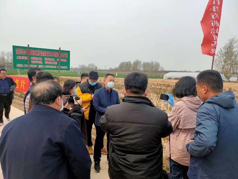市牡丹產業中心、市宣傳部的領導及各大媒體來公司基地考察指導工作